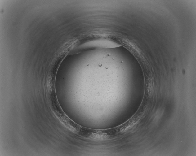 X0000085040455200703121438