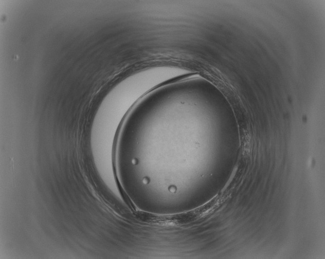 X0000085040456200703121438