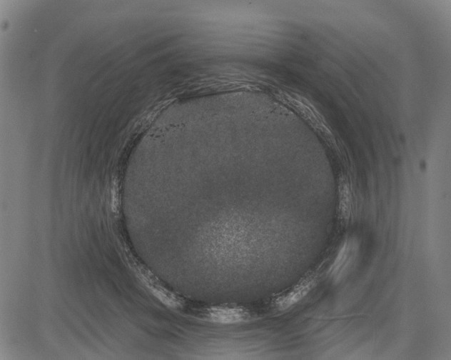 X0000085040457200703121438