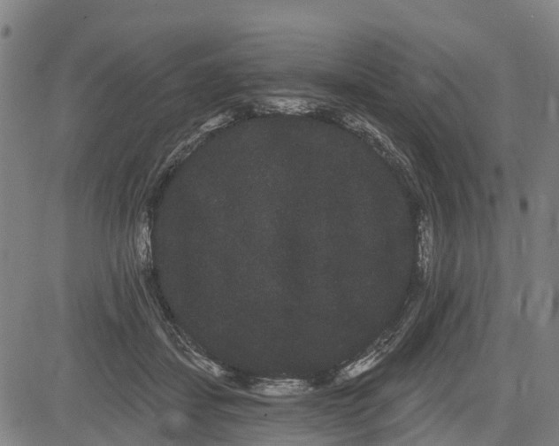 X0000085040459200703121438