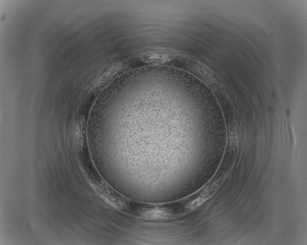 X0000085040460200703121438