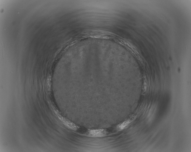 X0000085040461200703121438