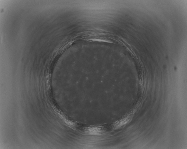 X0000085040462200703121438