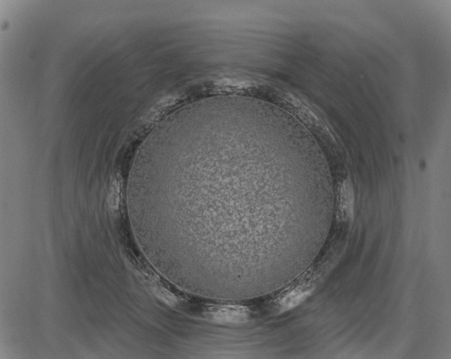 X0000085040463200703121438