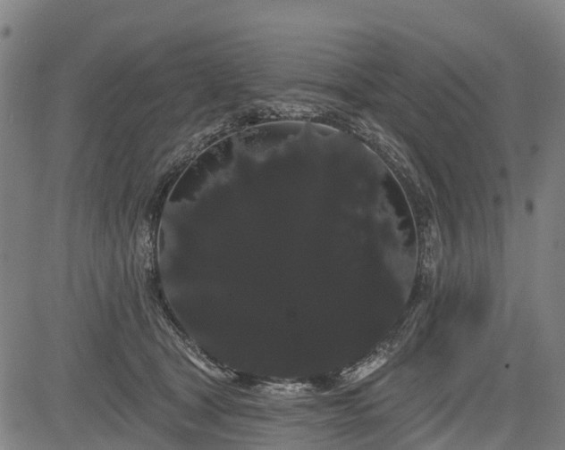 X0000085040465200703121438