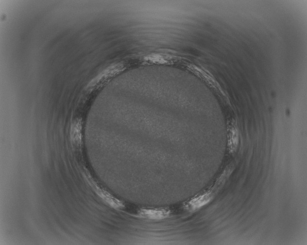 X0000085040466200703121438