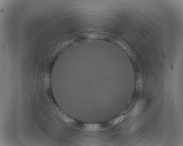 X0000085040469200703121438