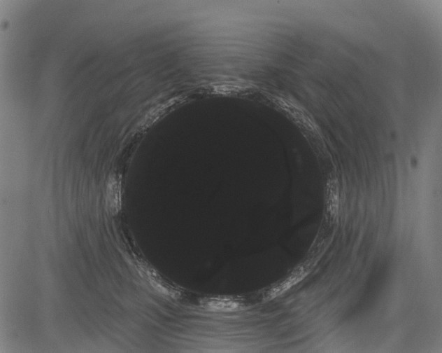 X0000085040471200703121438