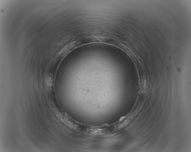 X0000085040472200703121438