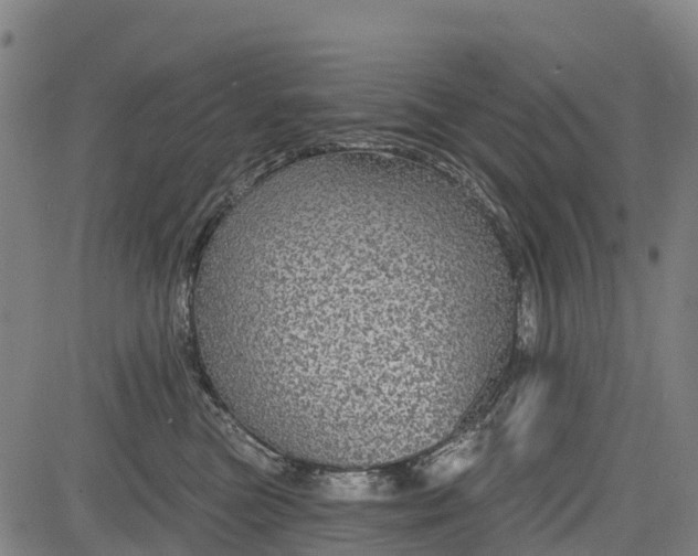 X0000085040473200703121438