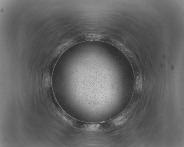 X0000085040474200703121438