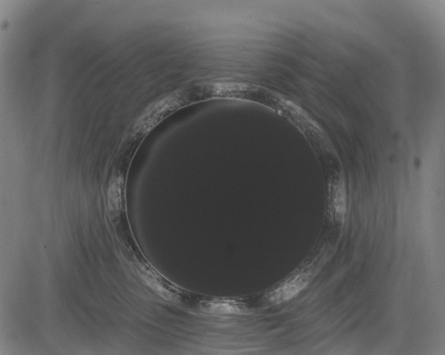 X0000085040475200703121438