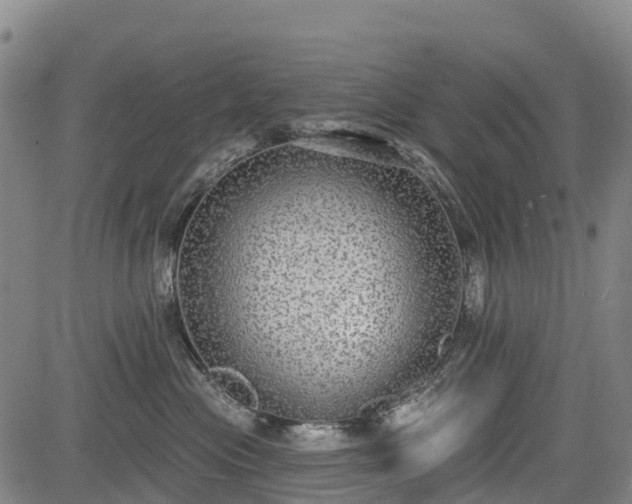 X0000085040477200703121438