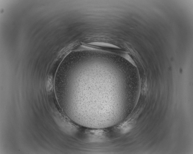 X0000085040478200703121438