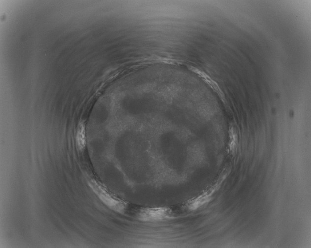 X0000085040479200703121438