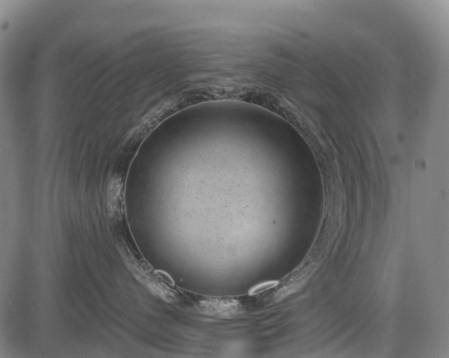 X0000085040480200703121438