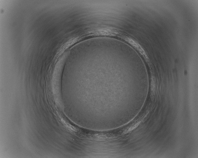 X0000085040481200703121437