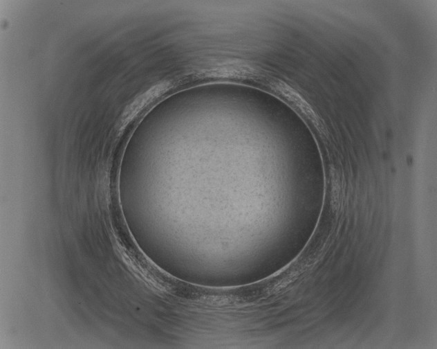 X0000085040482200703121437