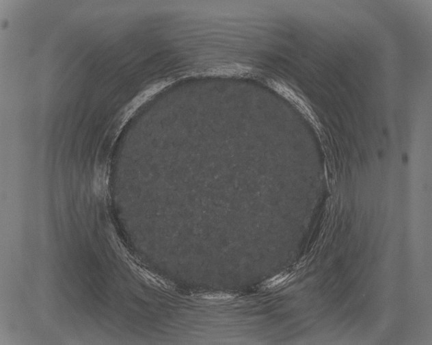 X0000085040483200703121437