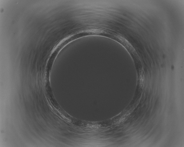 X0000085040484200703121437