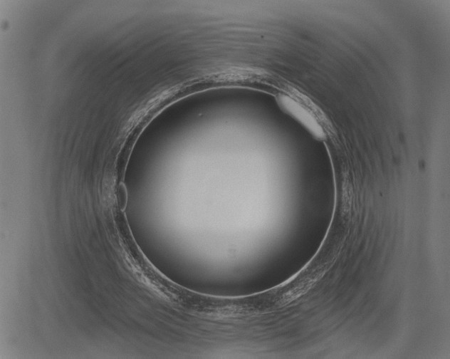 X0000085040485200703121437