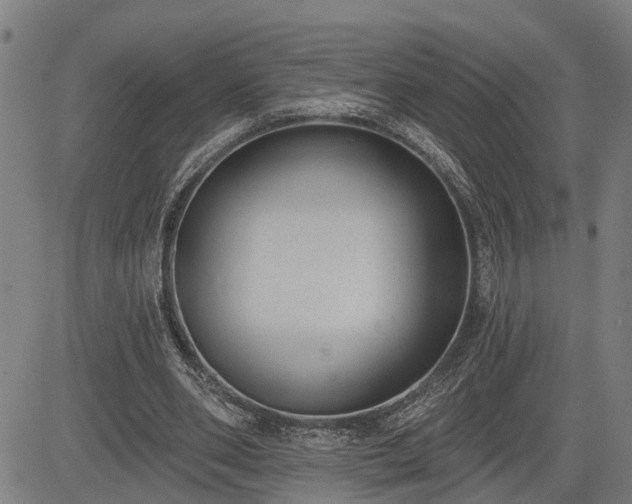 X0000085040486200703121437