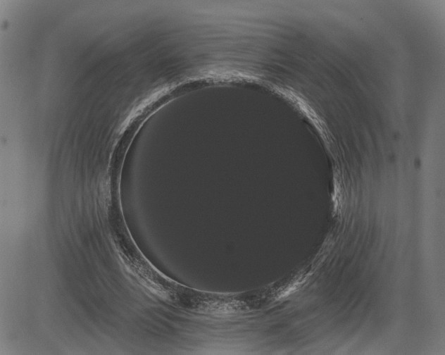 X0000085040488200703121437