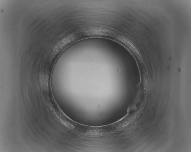 X0000085040489200703121437