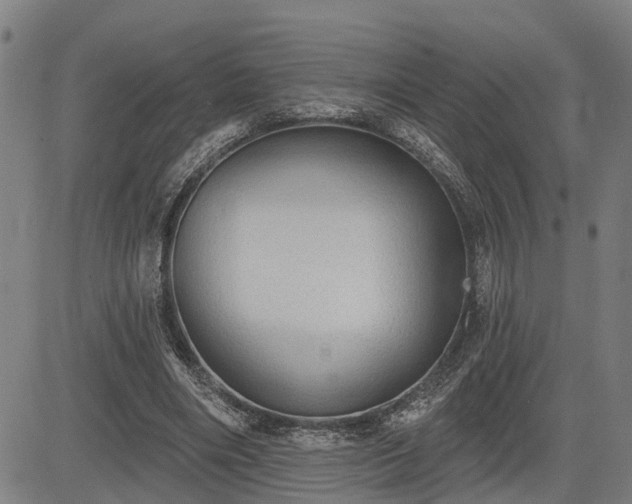 X0000085040490200703121437