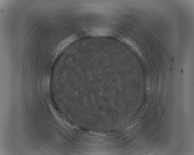 X0000085040491200703121437