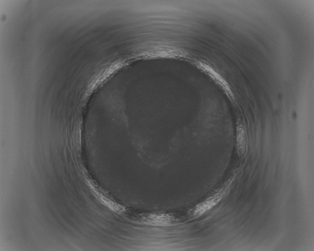 X0000085040493200703121437