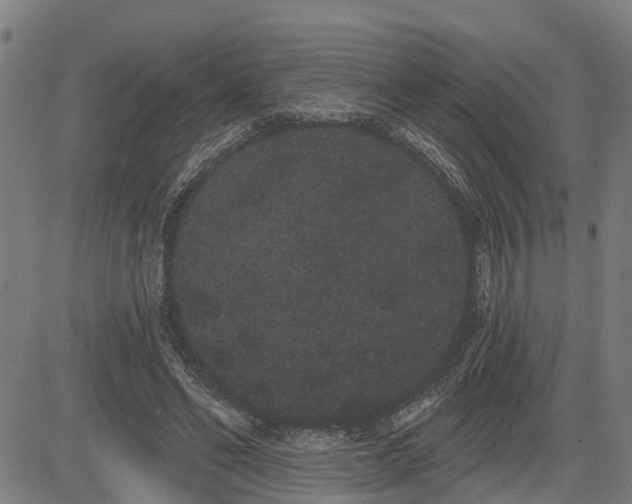 X0000085040494200703121437