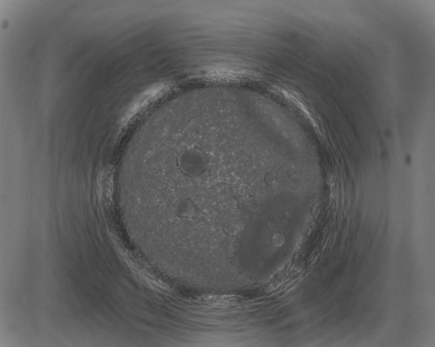 X0000085040495200703121437