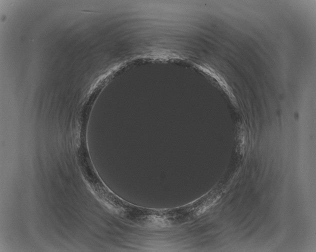 X0000085040496200703121437