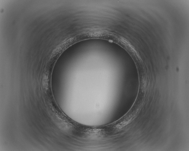 X0000085040497200703121437