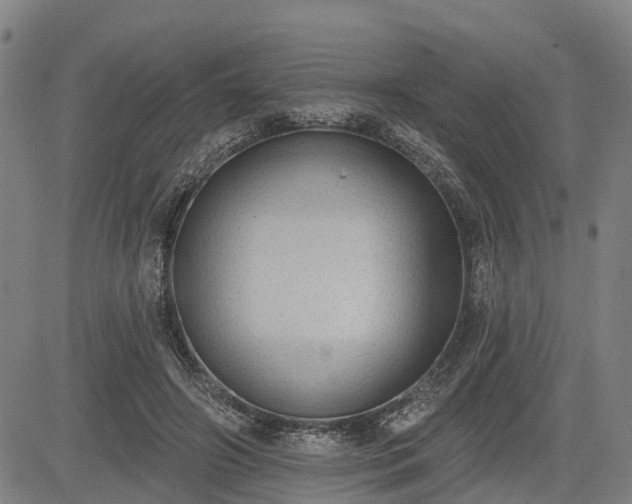 X0000085040498200703121437