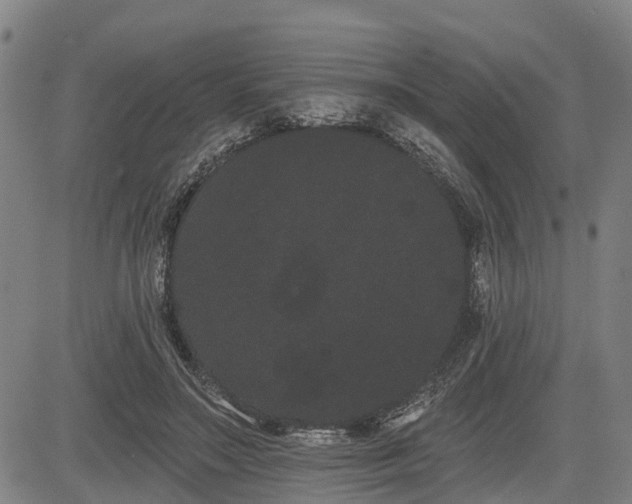 X0000085040499200703121437