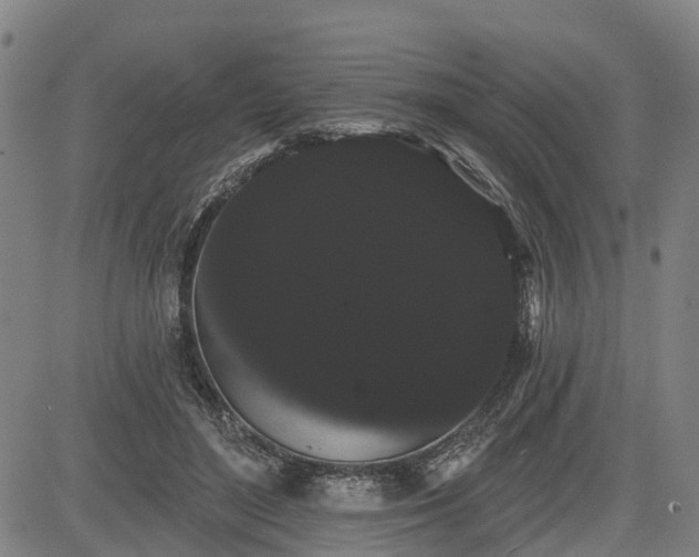 X0000085040500200703121437