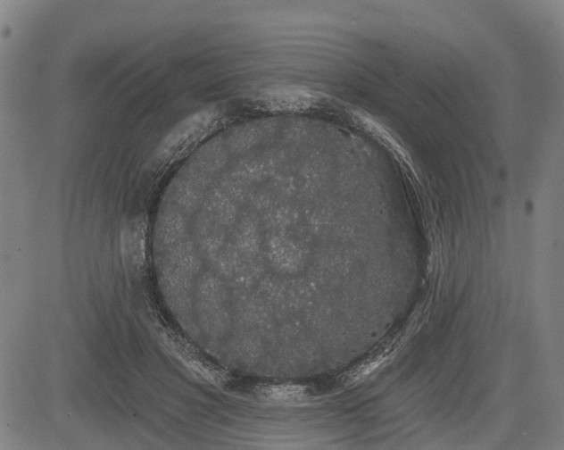 X0000085040501200703121437