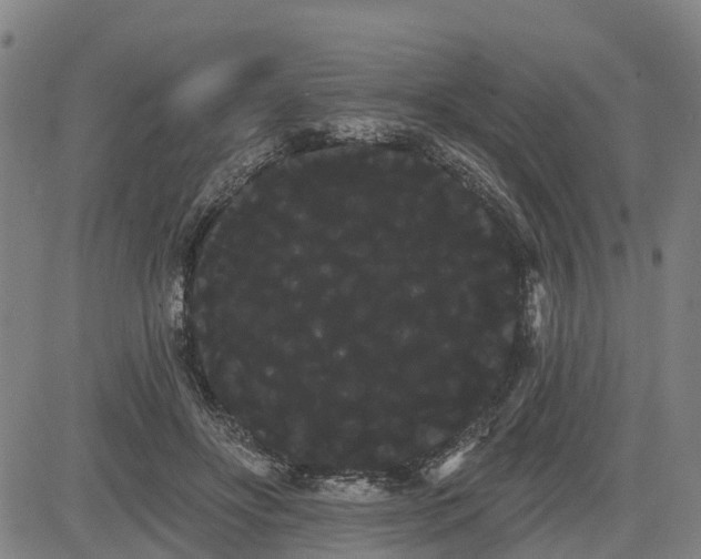 X0000085040502200703121437