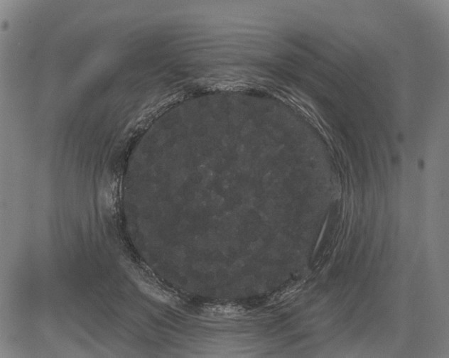 X0000085040503200703121437