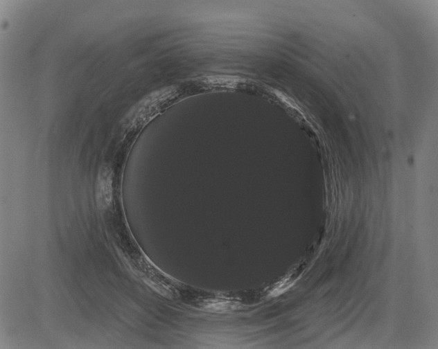 X0000085040504200703121437