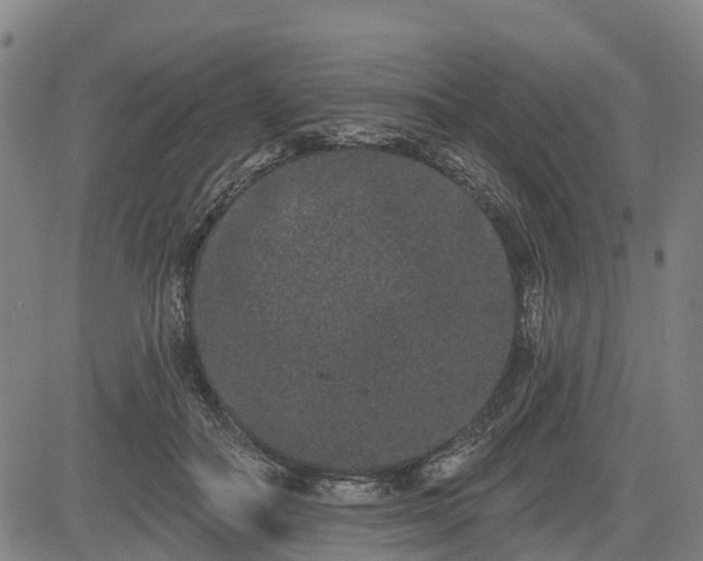 X0000085040506200703121437