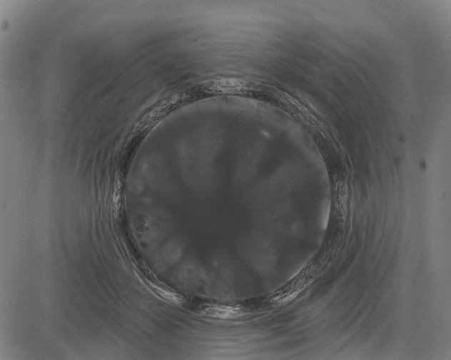 X0000085040507200703121437