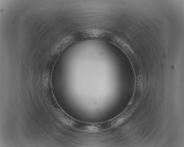 X0000085040509200703121437