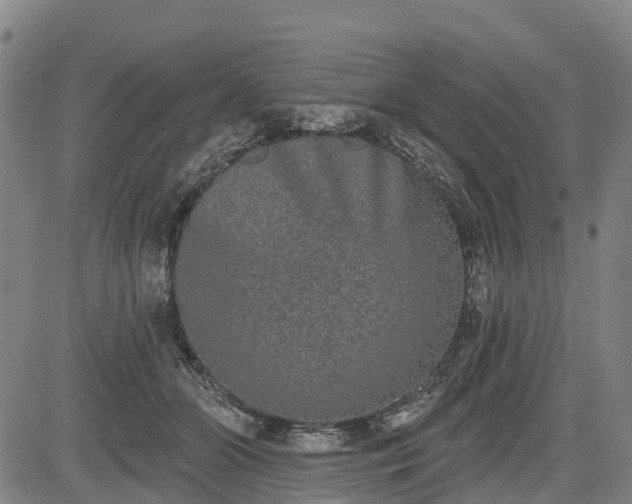 X0000085040510200703121437