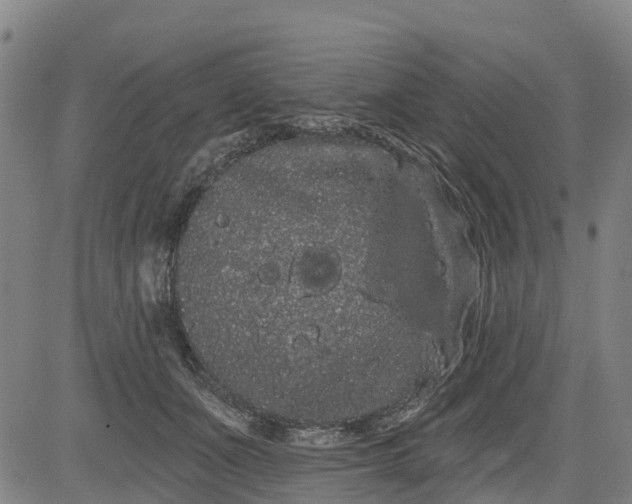 X0000085040511200703121437