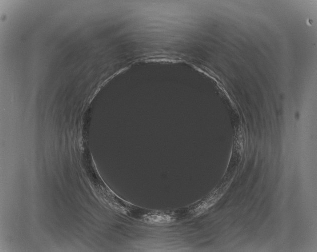 X0000085040512200703121437