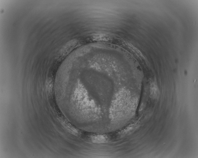 X0000085040513200703121437