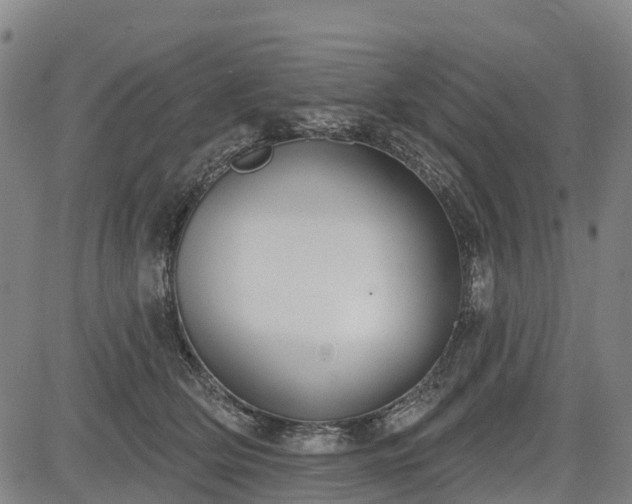 X0000085040514200703121437